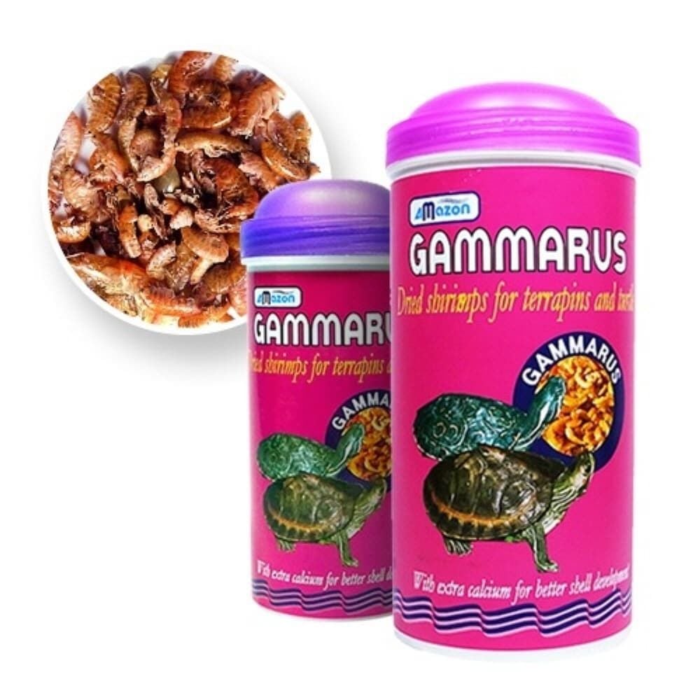 아마존 거북이 고단백 사료 감마루스, 1g, 1개 가격 추이 아마존 거북이 고단백 사료 감마루스, 1g, 1개 - 최저가 17,200원