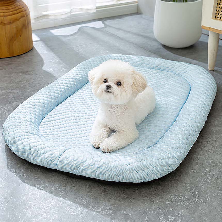 펫라이엇(PETRIOT) 강아지 쿨 매트 고양이 3D 볼륨 여름 냉감 미끄럼방지 패드 방석 애견 반려동물, 3d볼륨 그린, M cm, 1개