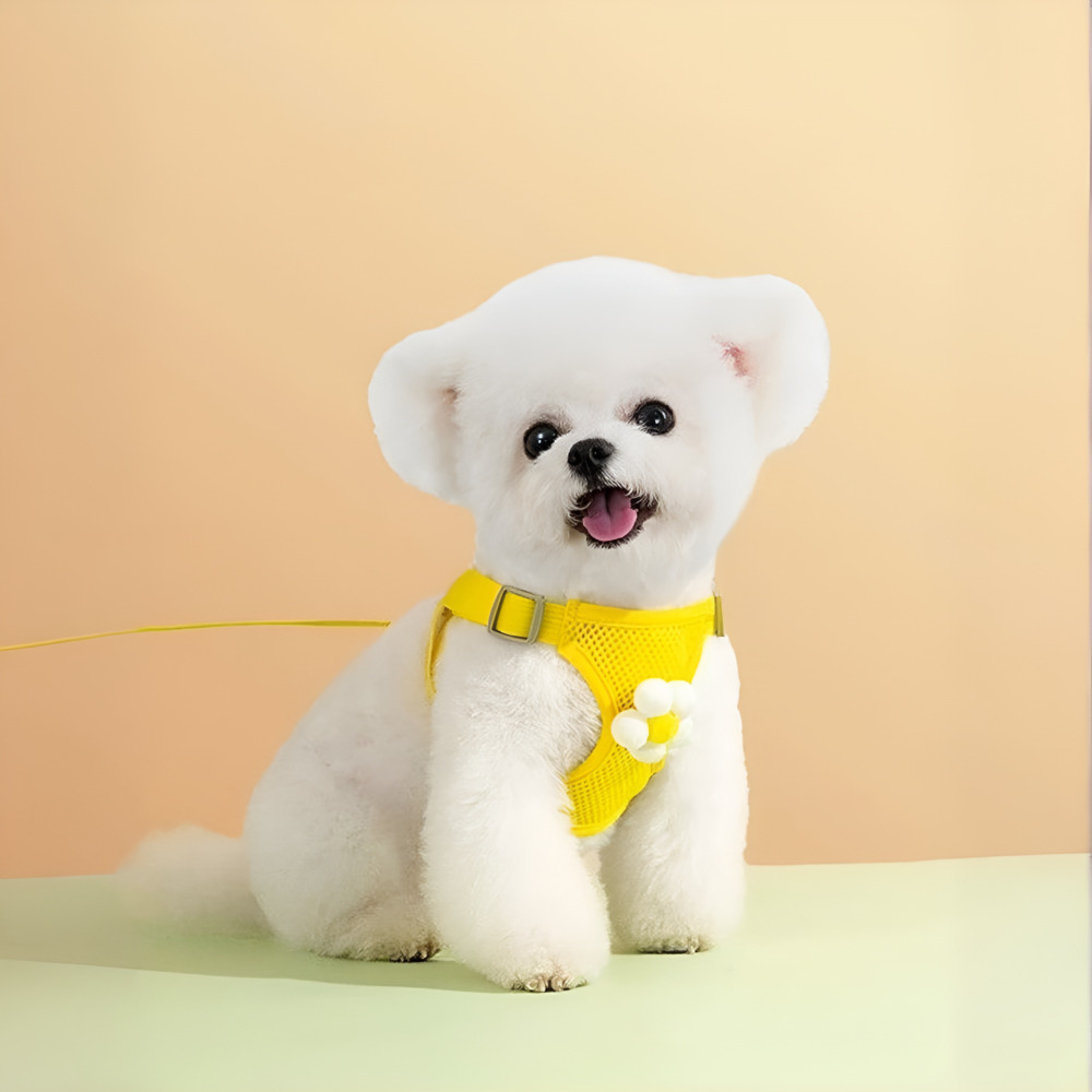 레이미데이 강아지 매쉬 여름 하네스 리드줄 세트 초경량 2중 장치, 1set, L, 스카이 구름 가격 추이 레이미데이 강아지 매쉬 여름 하네스 리드줄 세트 초경량 2중 장치, 1set, L, 스카이 구름 - 최저가 12,900원
