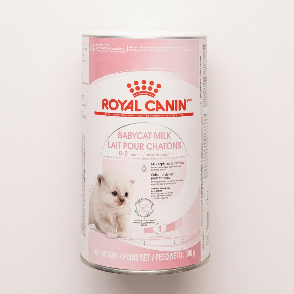 로얄캐닌 베이비캣 밀크, 아기고양이, 우유, 100g, 3개입, 젖병포함, 1세트