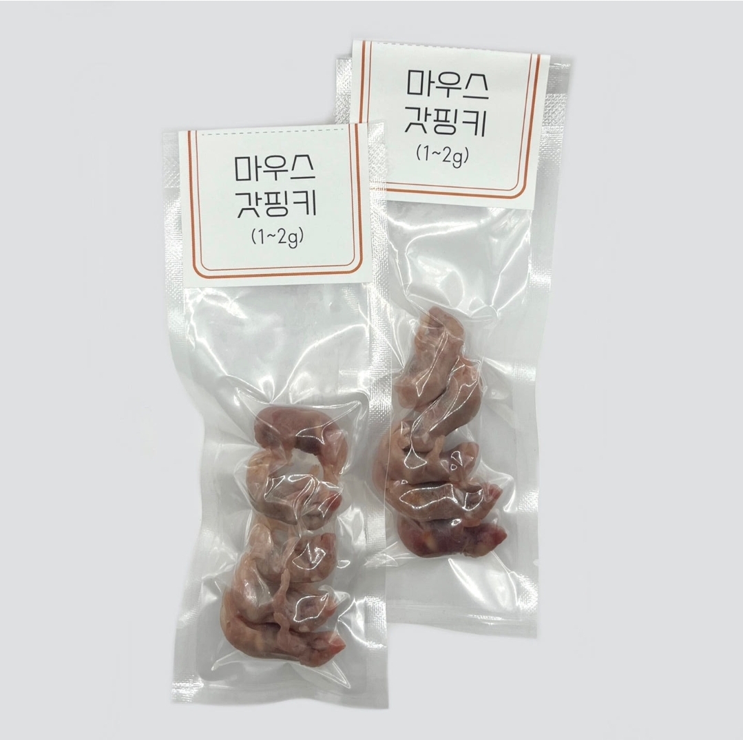 쥐선생 냉동 마우스 10마리 세트, 2g, 10개 가격 추이 쥐선생 냉동 마우스 10마리 세트, 2g, 10개 - 최저가 12,700원