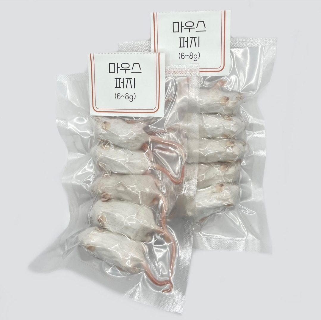 쥐선생 냉동 마우스 10마리 세트, 7g, 10개