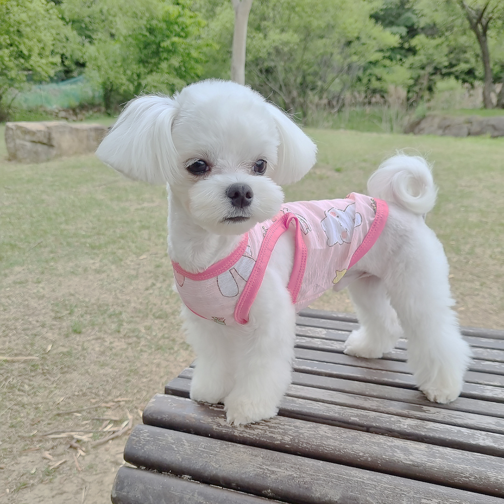 1+1 강아지옷 고양이옷 리넨 나시 티셔츠 실내복, 세트10_핑크 토끼+벚꽃, XL, 1세트 가격 추이 1+1 강아지옷 고양이옷 리넨 나시 티셔츠 실내복, 세트10_핑크 토끼+벚꽃, XL, 1세트 - 최저가 7,400원