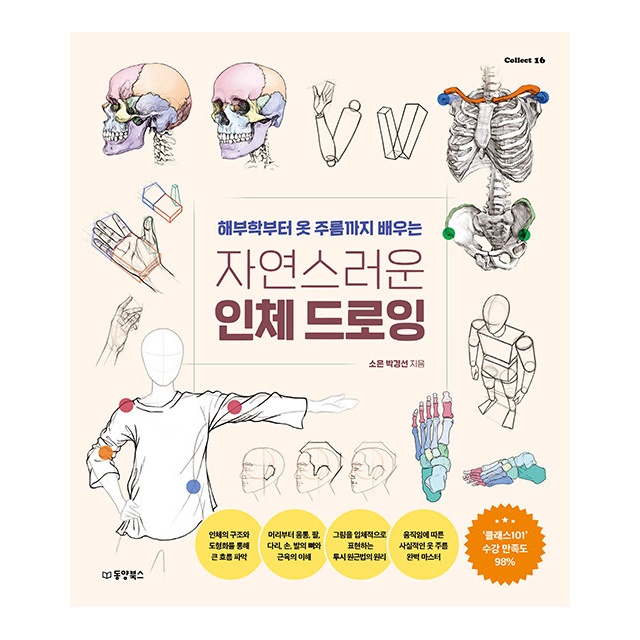 주식회사 북채널 동양북스 한 권으로 끝내는 인체 드로잉, 저자 소은 박경선