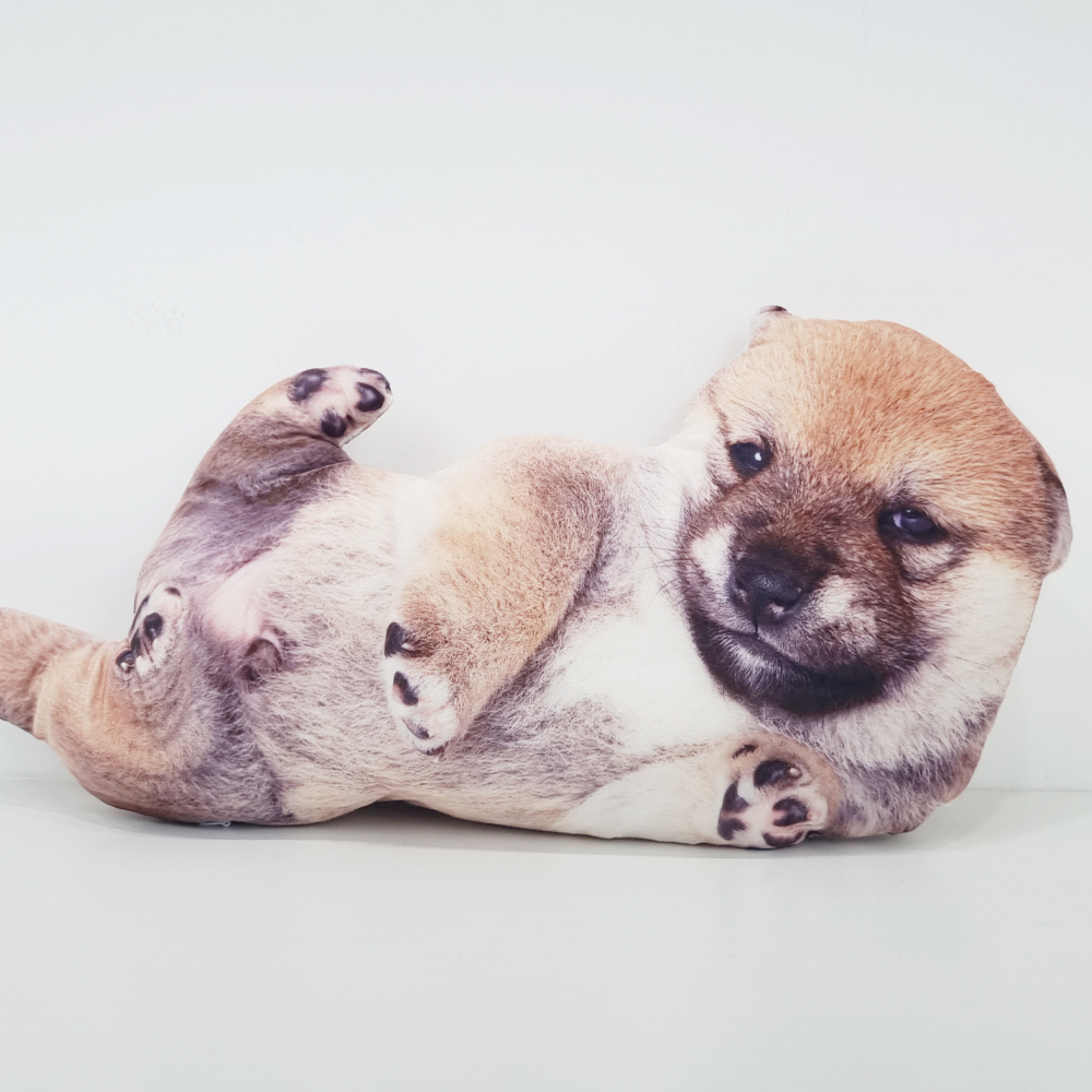 젊은이마켓 젊은이마켓 시고르자브 인형, 1개