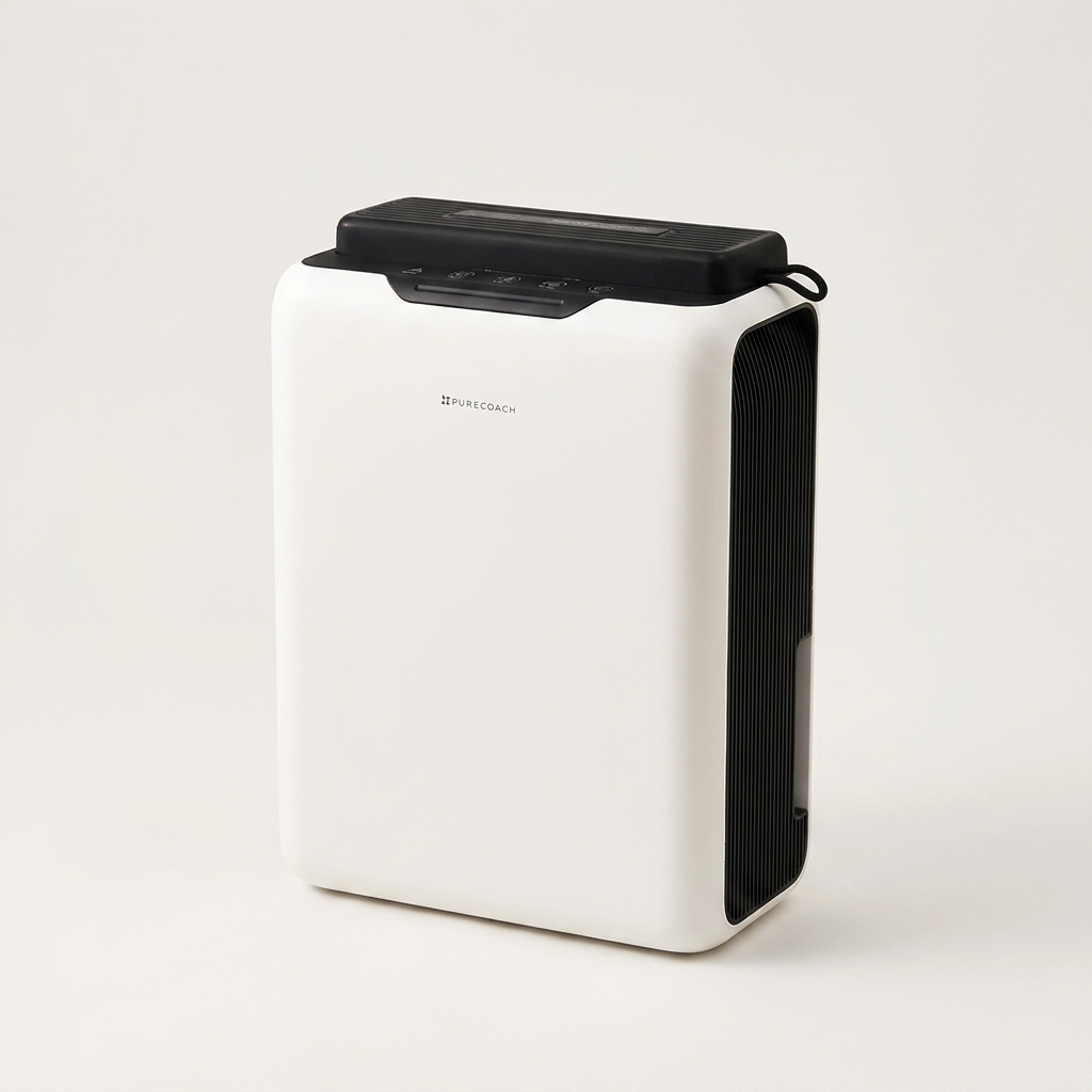 퓨어코치 제습기, DH2500D, 1개