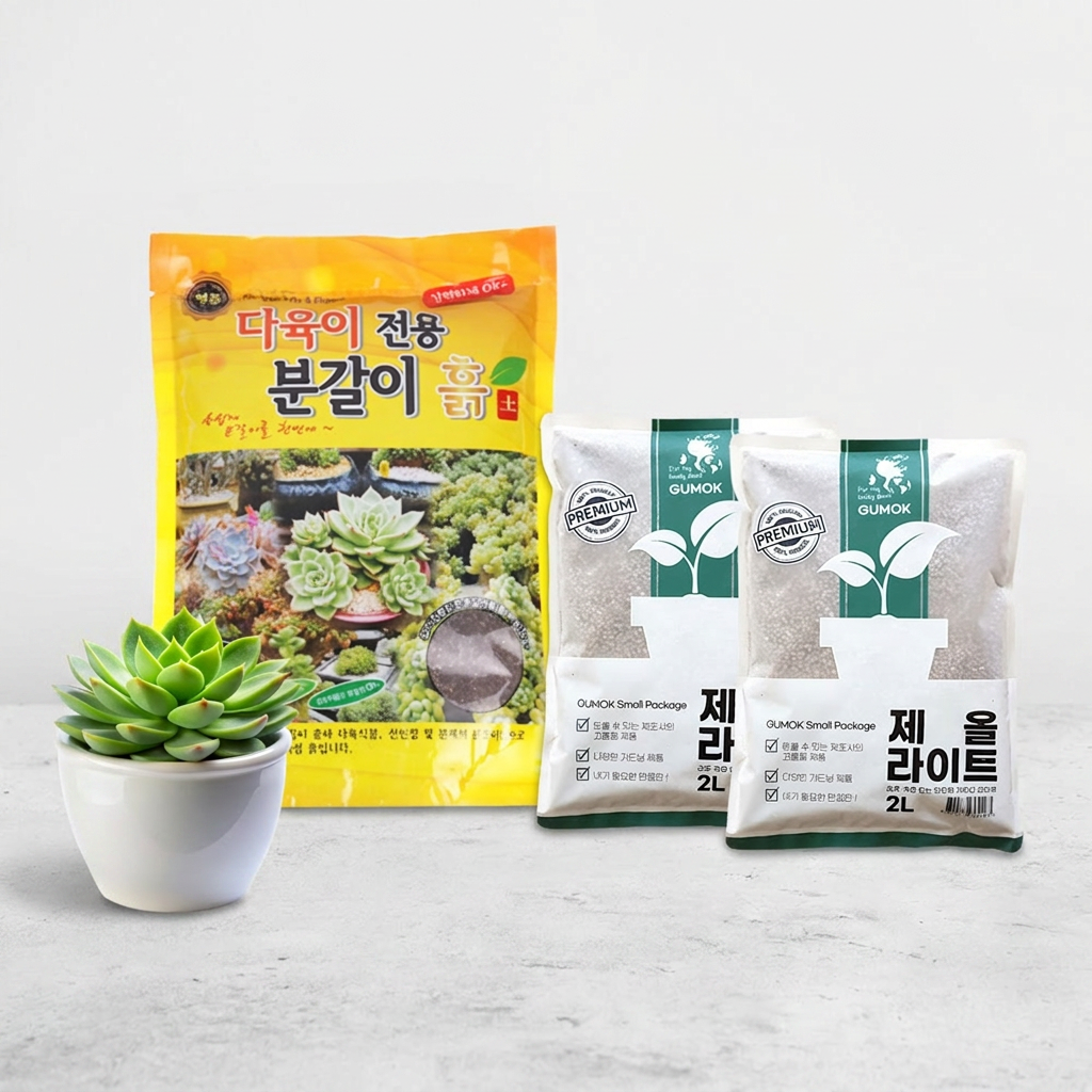 GUMOK 다육이 전용 분갈이흙, 다육이흙 6L 3개, 세척마사토 5kg 1개