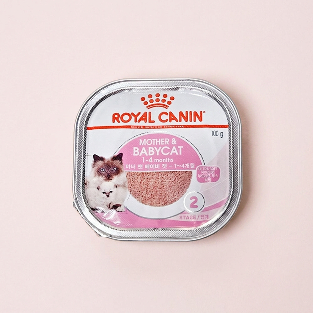 로얄캐닌 마더앤베이비캣 울트라 소프트 무스, 100g, 6개