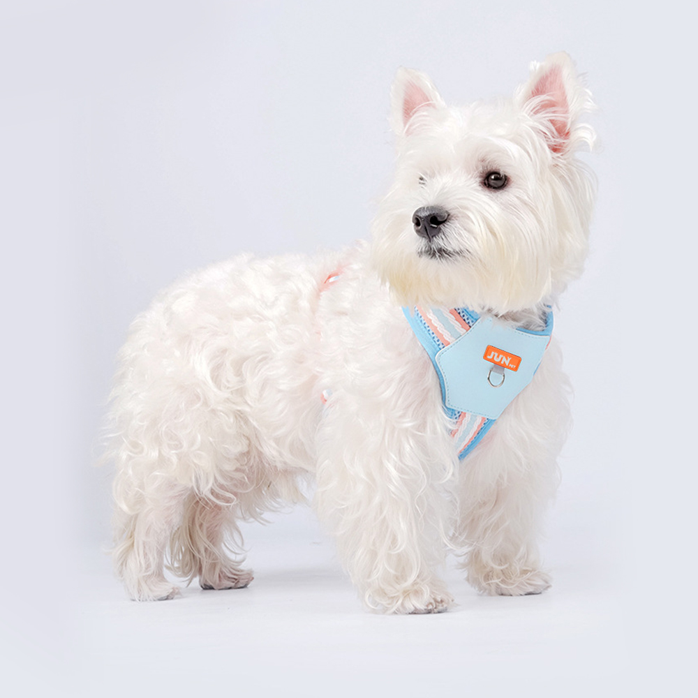 JUN PET 솜사탕 메쉬 하네스, 크리미블루, S, 1개