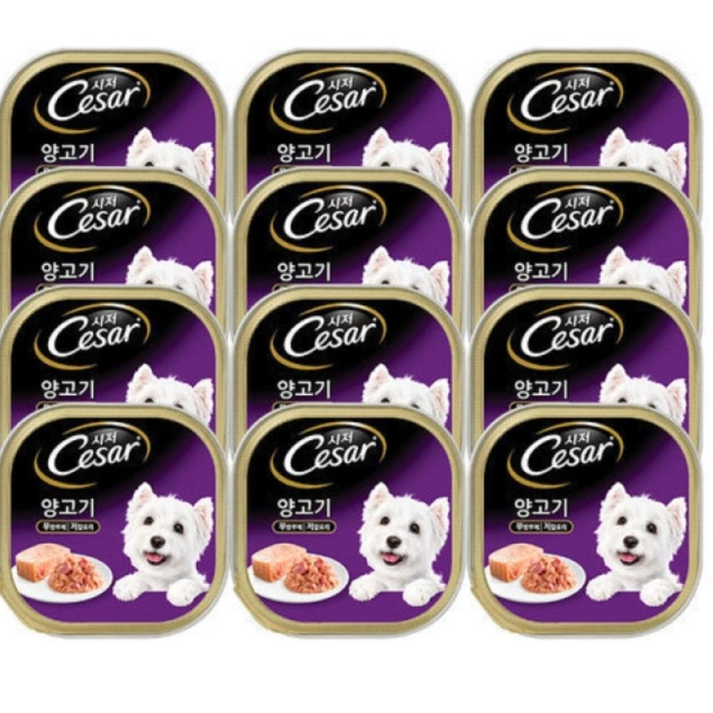 시저 애완용 영양식 캔, 양고기, 100g, 12개