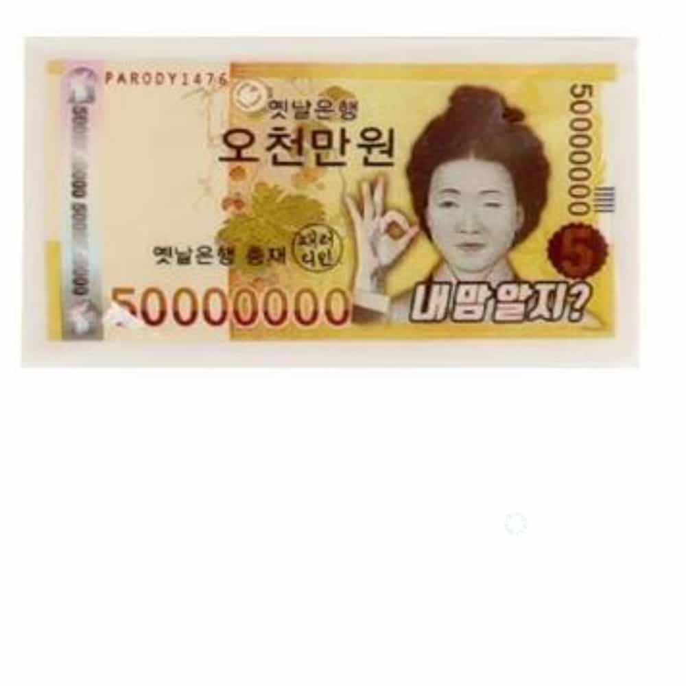 패러디 돈지우개, 30개
