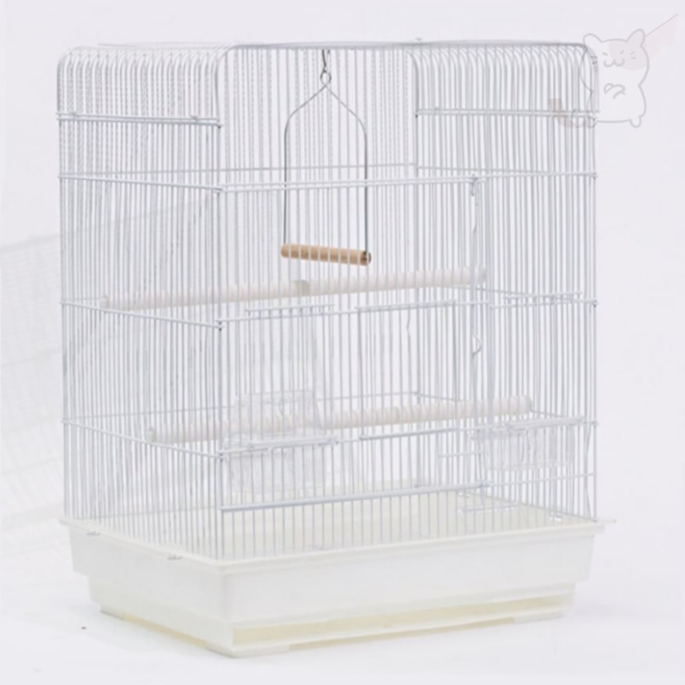 앵무 사각 대, 기본, 1개 가격 추이 앵무 사각 대, 기본, 1개 - 최저가 50,200원