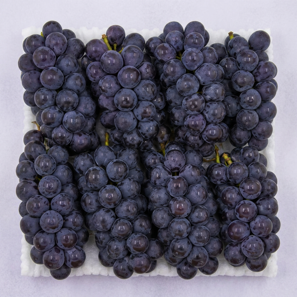 원물곳간 국내산 씨없는 햇거봉, 1kg, 1박스