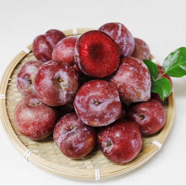 국내산 빨간속살 피자두, 1kg, 2개 가격 추이 국내산 빨간속살 피자두, 1kg, 2개 - 최저가 18,200원