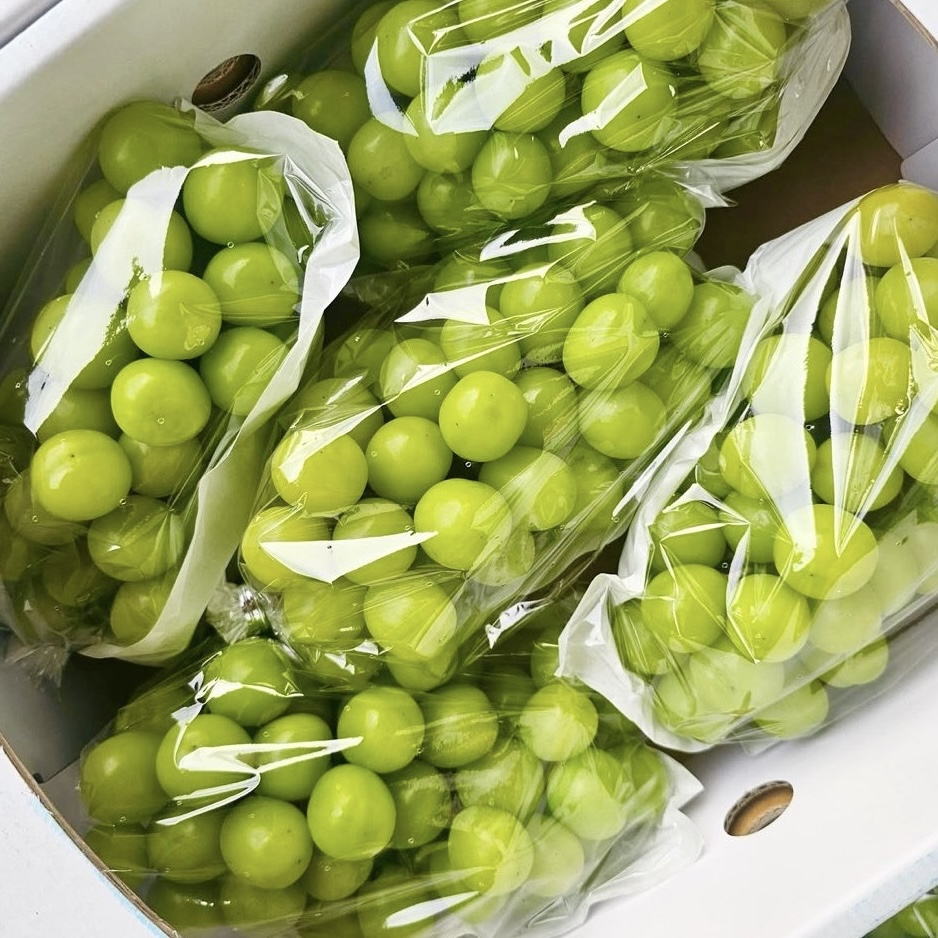 프로프룻 샤인머스켓, 특품, 2kg, 1박스 가격 추이 프로프룻 샤인머스켓, 특품, 2kg, 1박스 - 최저가 15,900원
