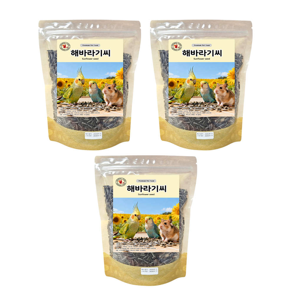 애니몰파크 FOGENY 해바라기씨, 400g, 3개