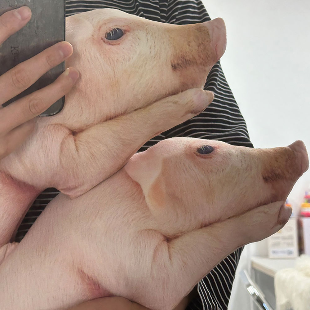 애완 돼지 인형, 돼지, 50cm, 꼬깔모자 가격 추이 다다랜드 애완 돼지 인형, 돼지, 50cm, 꼬깔모자 - 최저가 12,500원