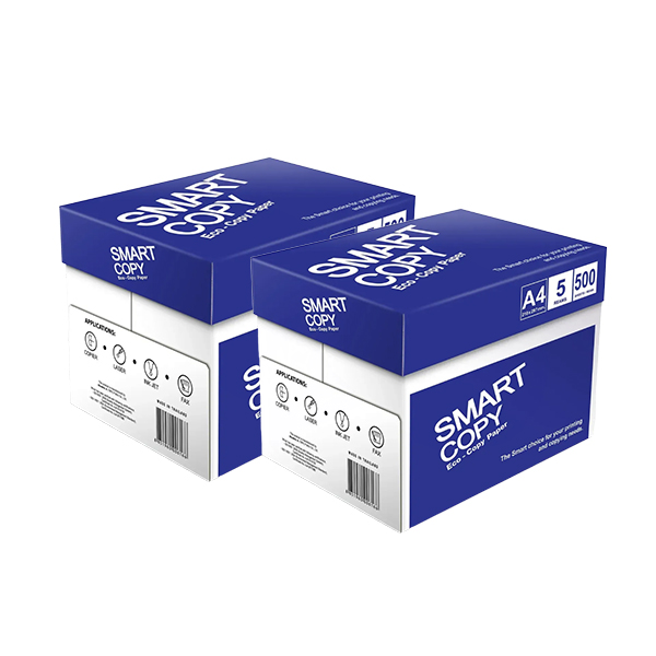 더블에이 스마트카피 A4 복사용지, 75g, 5000매, 2박스 가격 추이 더블에이 스마트카피 A4 복사용지, 75g, 5000매, 2박스 - 최저가 36,800원