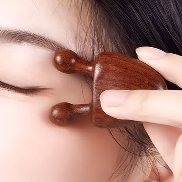 주식회사 초특가컴퍼니 막힌 림프 뻥 뚫어주는 달팽이눈 섬세괄사, 2개