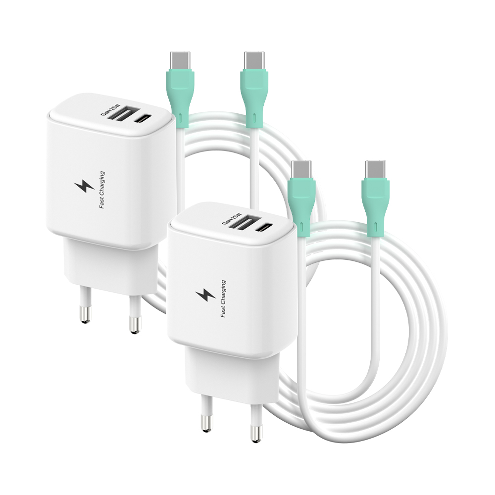 템플러 25W 초고속 충전기 2포트 PD 45W 2M CtoC 케이블 포함, 화이트, 2개