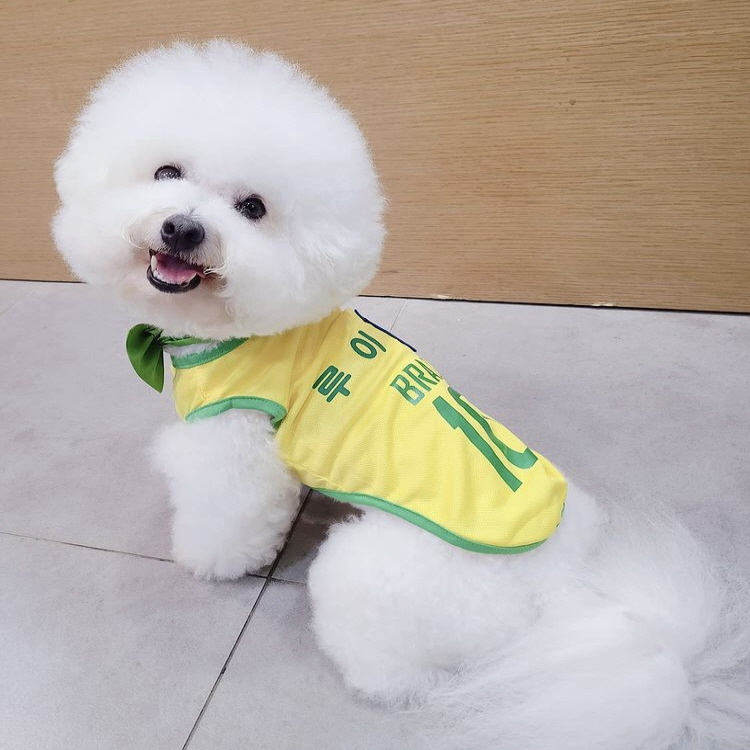 boldog 강아지 이름 각인 유니폼, 스페인 , 3XL, 1개