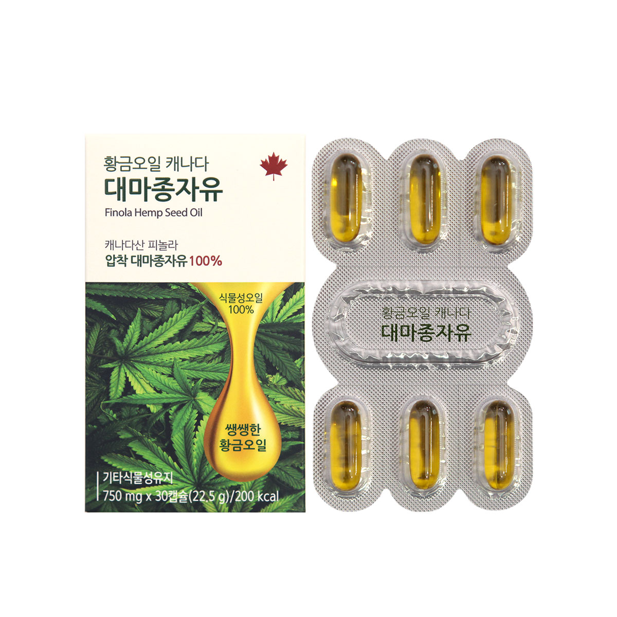 황금오일 캐나다 대마종자유 오메가369, 750mg, 30캡슐, 6개
